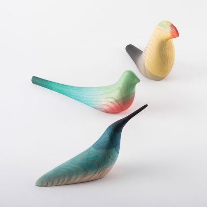Immersed birds by Moisés Hernández