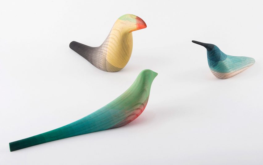 Immersed birds by Moisés Hernández