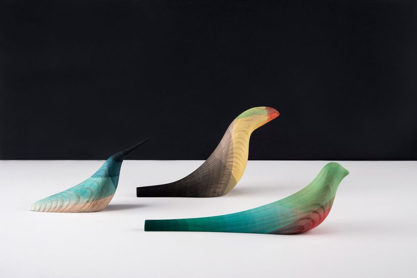 Immersed birds by Moisés Hernández