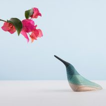 Immersed birds by Moisés Hernández