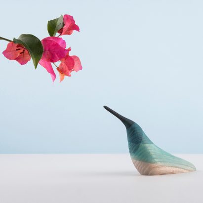 Immersed birds by Moisés Hernández
