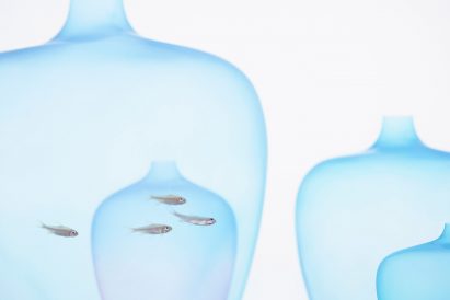 Milan: Jellyfish vase by Nendo