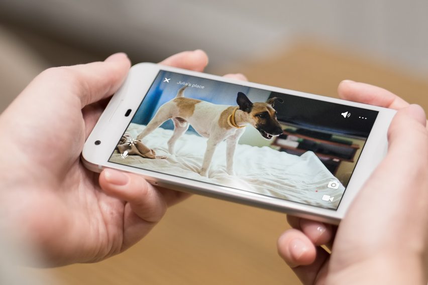 Petcube Play