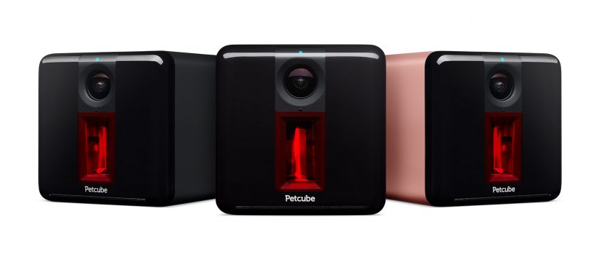 Petcube Play
