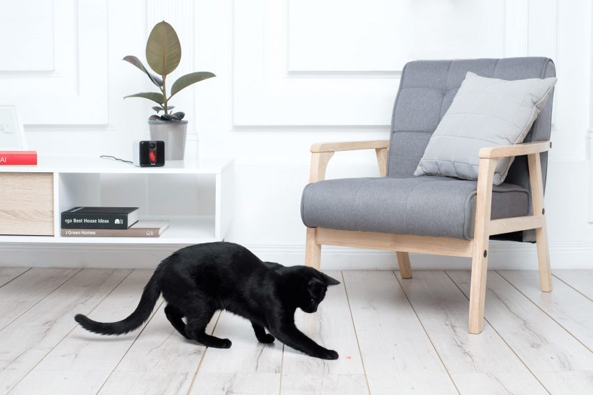 Petcube Play
