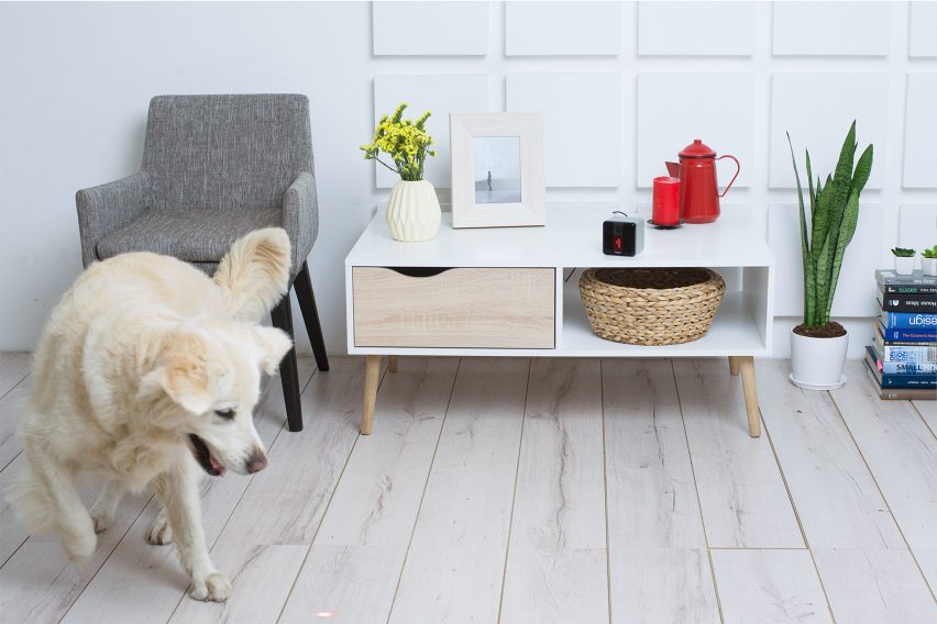 Petcube Play
