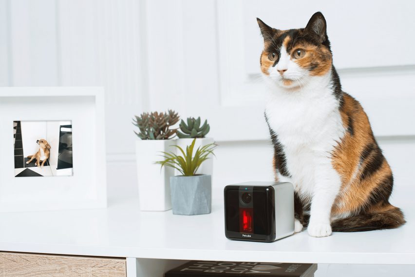 Petcube Play