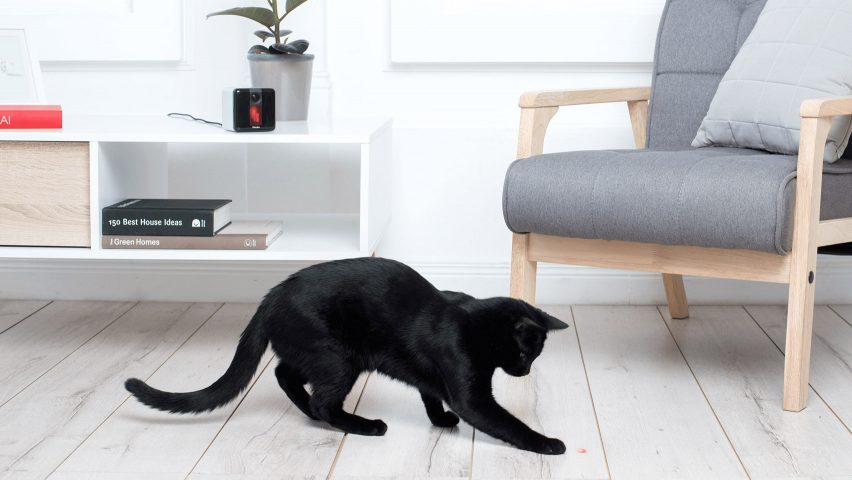 Petcube Play