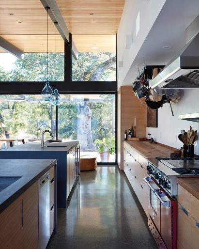 Sacramento Modern Residence by Klopf Architecture
