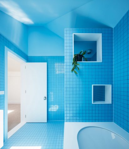 Suburban Canny by Tribe Studio