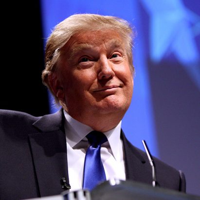Portrait of president Donald Trump
