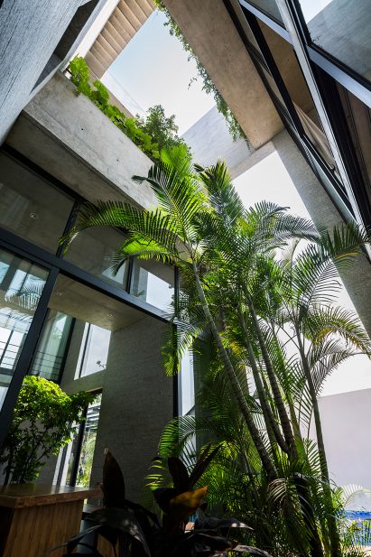 Binh House by Vo Trong Nghia Architects
