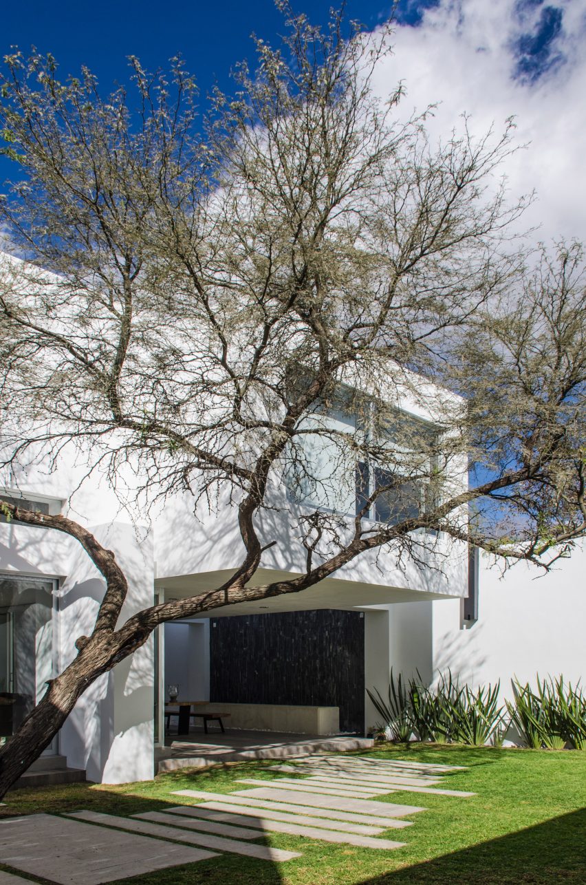 Casa Mezquite by BAG Arquitectura