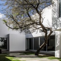 Mesquite tree serves as focal point for Mexican home by BAG Arquitectura