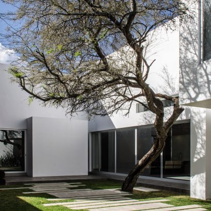 Mesquite tree serves as focal point for Mexican home by BAG Arquitectura
