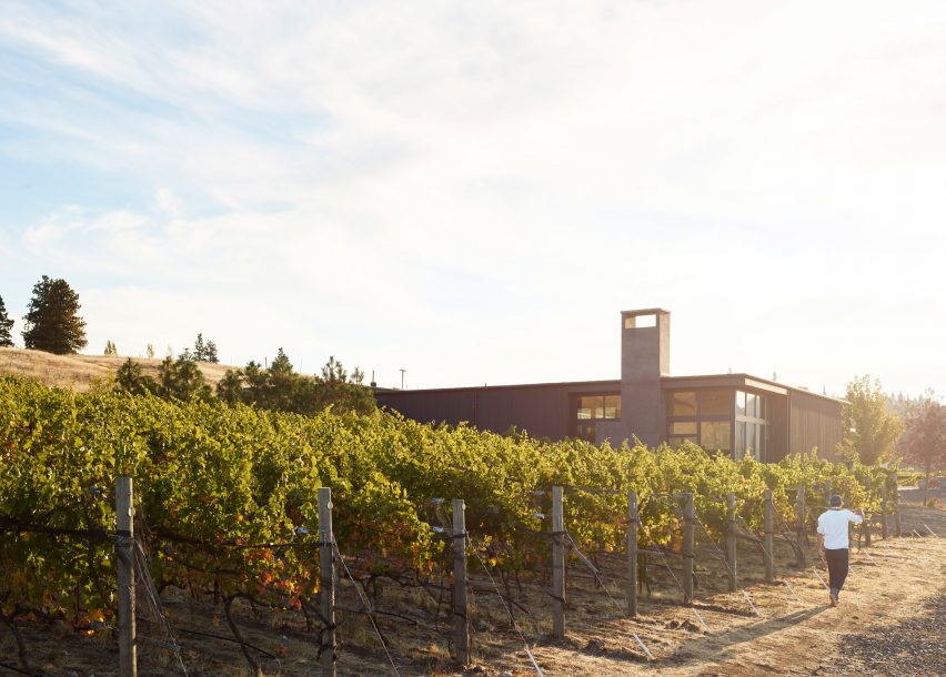 COR cellars by goCStudio