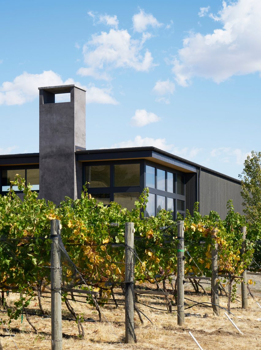 COR cellars by goCStudio