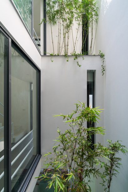 A House in the Trees by Nguyen Khac Phuoc Architects