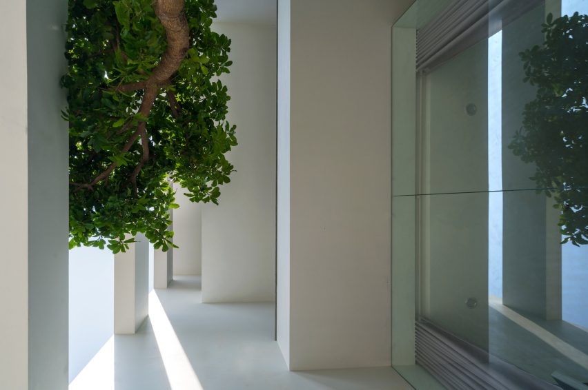 A House in the Trees by Nguyen Khac Phuoc Architects