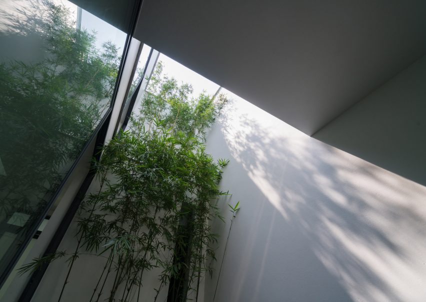 A House in the Trees by Nguyen Khac Phuoc Architects