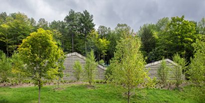 Woodshed by Birdseye