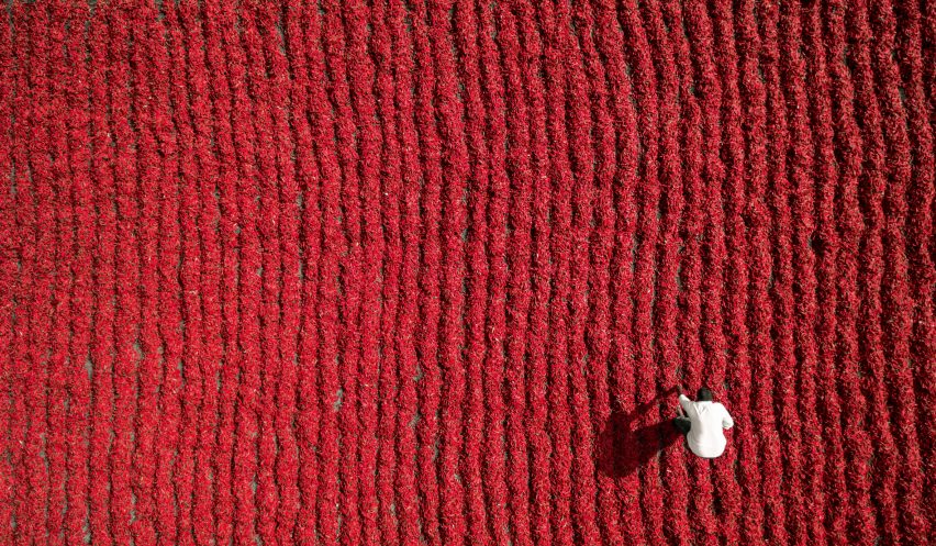 Dronescapes