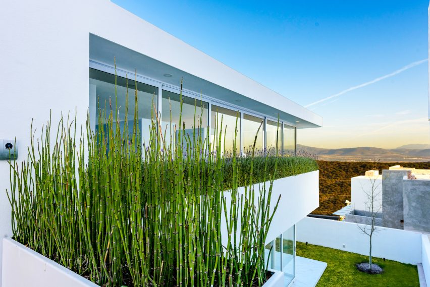 House S1 by Evelop Arquitectura