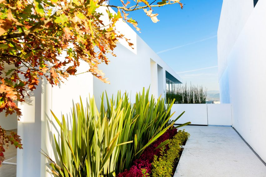House S1 by Evelop Arquitectura