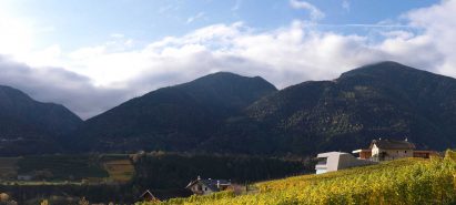 Kofererhof by Bergmeisterwolf Architekten