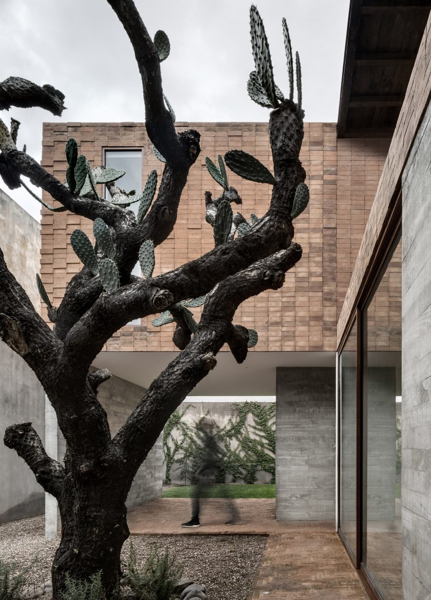 Mezquites House by AS/D Asociación de Diseño