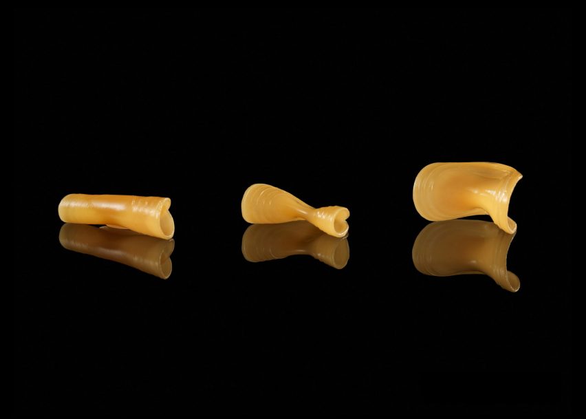 MIT 'Transformative Appetite'
