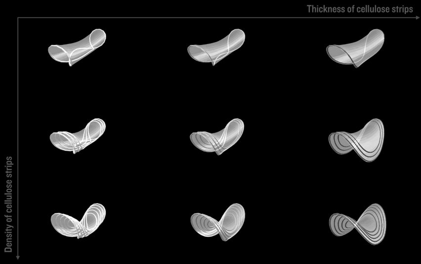 MIT 'Transformative Appetite'