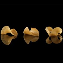 MIT researchers create flat-pack food that takes shape in water