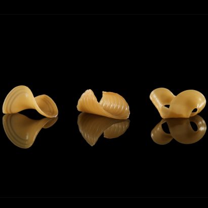 MIT researchers create flat-pack food that takes shape in water