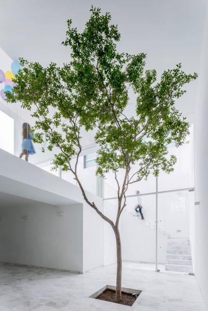 The Cave House, Mexico, by Abraham Cota Paredes Arquitectos