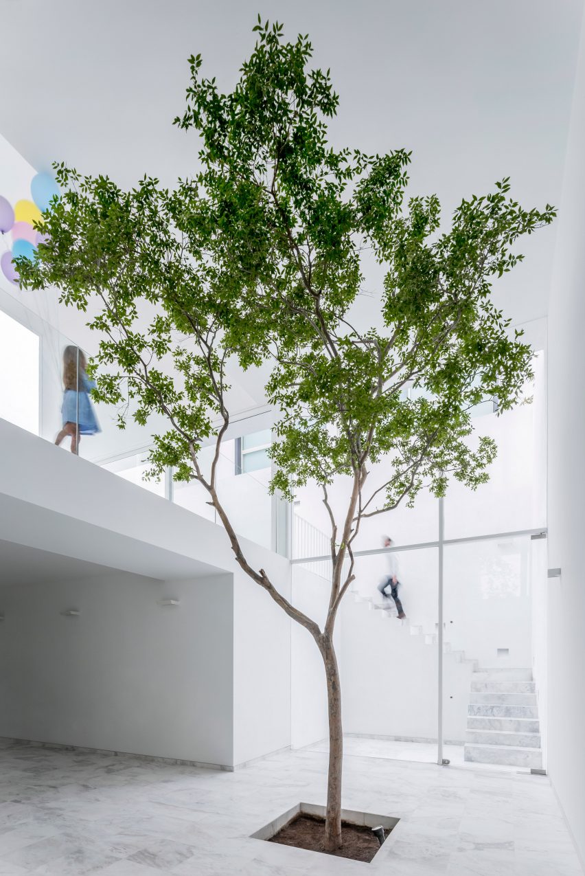 The Cave House, Mexico, by Abraham Cota Paredes Arquitectos