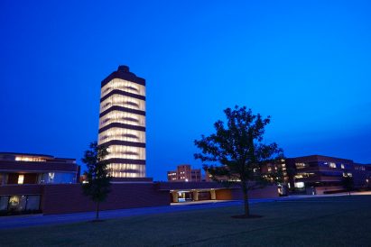 Johnson Wax by Frank Lloyd Wright