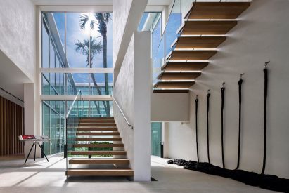 Pine Tree House by SAOTA