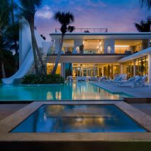Pine Tree House by SAOTA