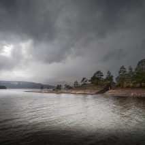This week, Norway scrapped a memorial and Trump touted solar panels for border wall
