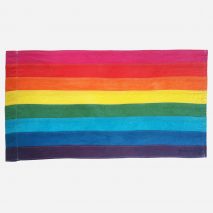 Design Museum adds the Rainbow Flag and a Frisbee to its permanent collection