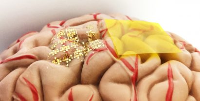 Dissolvable technology by Stanford University