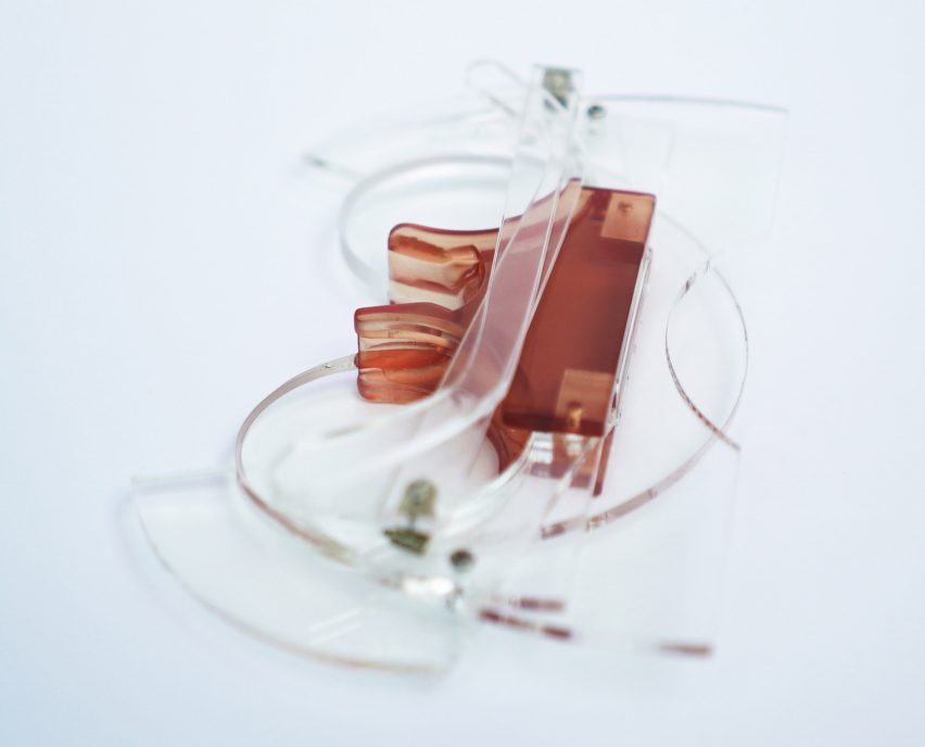 Eyeglasses by Tamar Canfi
