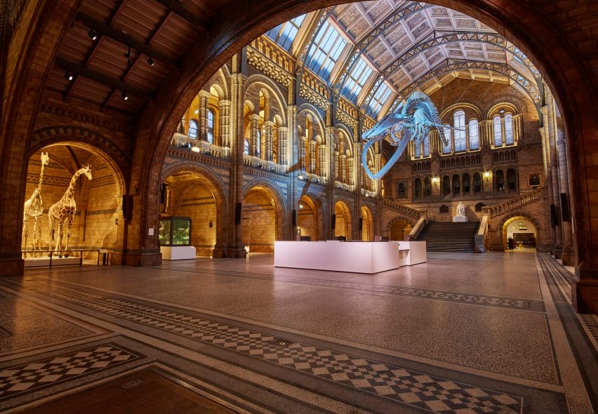 Blue whale in Hintze Hall at the Natural History Museum