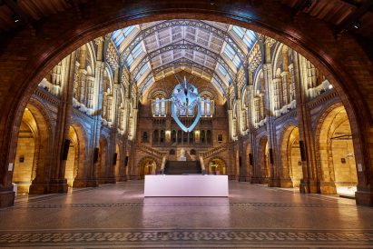 Blue whale in Hintze Hall at the Natural History Museum