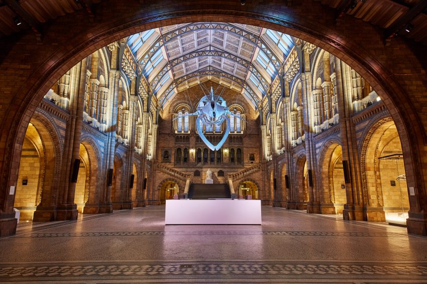 Blue whale in Hintze Hall at the Natural History Museum
