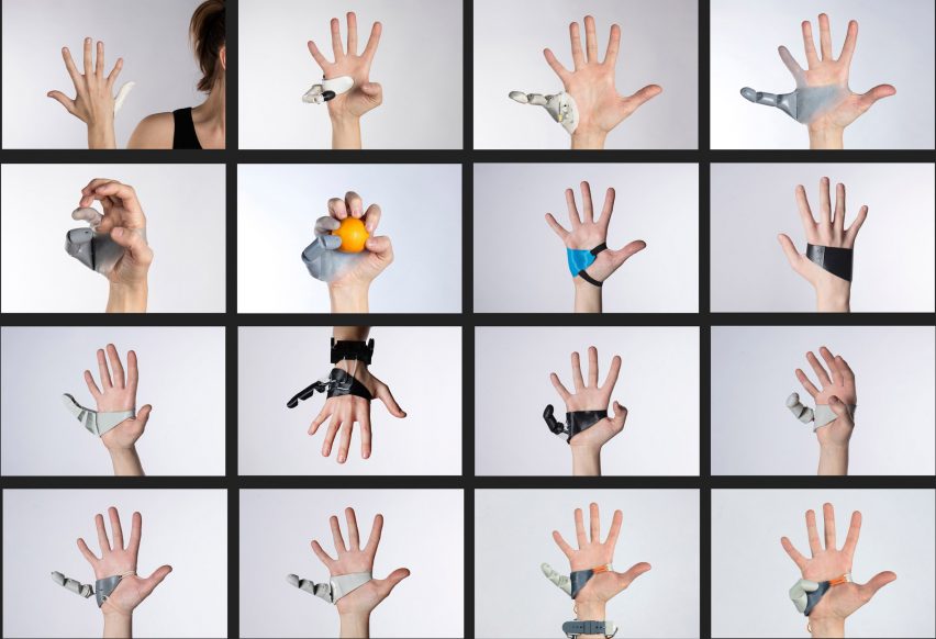 The Third Thumb by Danielle Clode