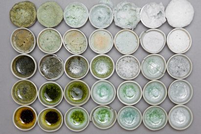 To See a World in a Grain of Sand by Atelier NL at DDW