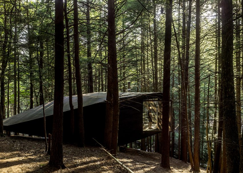 Tree House in New York by Jacobschang Architecture