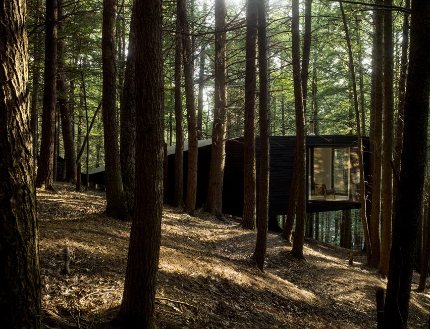 Tree House in New York by Jacobschang Architecture